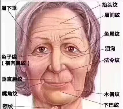 皱纹与风水的关系抬头纹:额头代表早年运气,有抬头纹_圈子-新氧美容