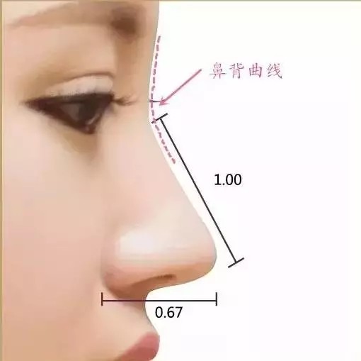 但很多人却忽略鼻背弧线要自然弯曲这一点