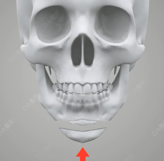 下巴的骨头叫什么图片