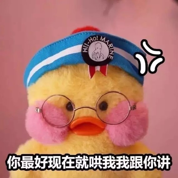 最近火遍ins和微博热搜的 一只超级可爱蠢萌的小黄鸭 之所以被大冀行