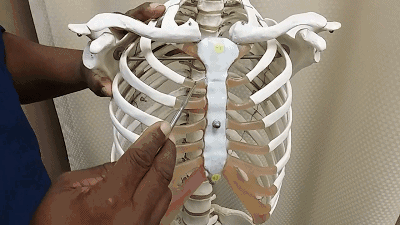 肋软骨那么好,能不能用在隆下巴上