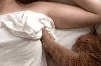 340_222gif 动态图 动图