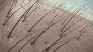 生发,从根源开始 aape蕴含150种生长因子 其他多种与细胞再生