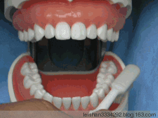 牙结石的前身是牙菌斑 食物残留 软垢,紧紧的黏附在牙齿上,不能被水