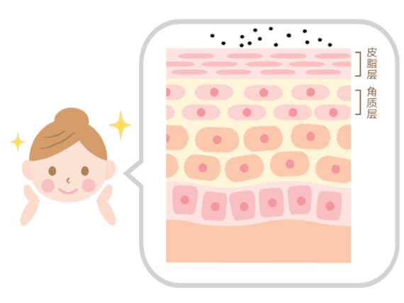 因此皮脂腺的活跃度不高,脸上也不咋出油,再加上天气冷热交替,角质层
