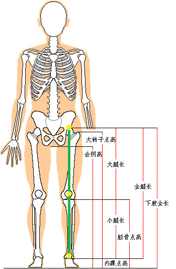 [(大转子点高