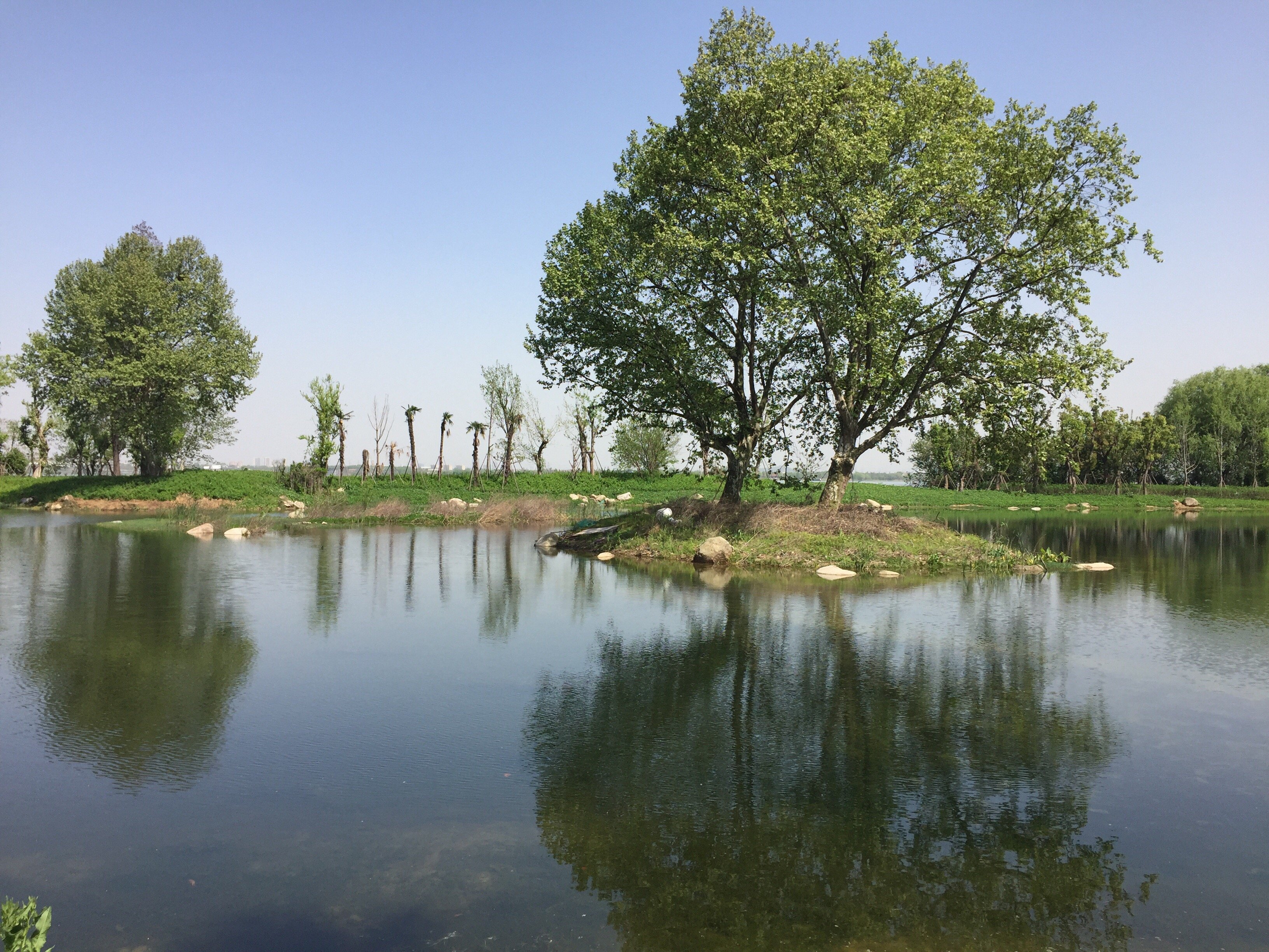 武汉.东湖绿道风景好