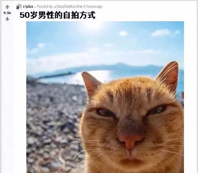 蜜汁死亡角度自拍#哈哈哈属于中年人的怼脸拍蜜汁角_圈子-新氧萌葺