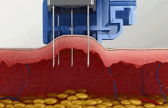 570_368gif 动态图 动图