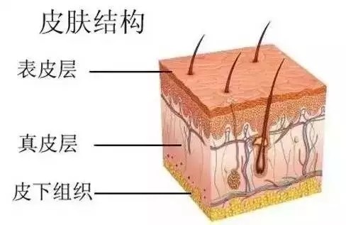 圈子 新氧专业医美平台