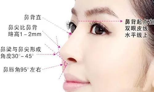 鼻部美学标准