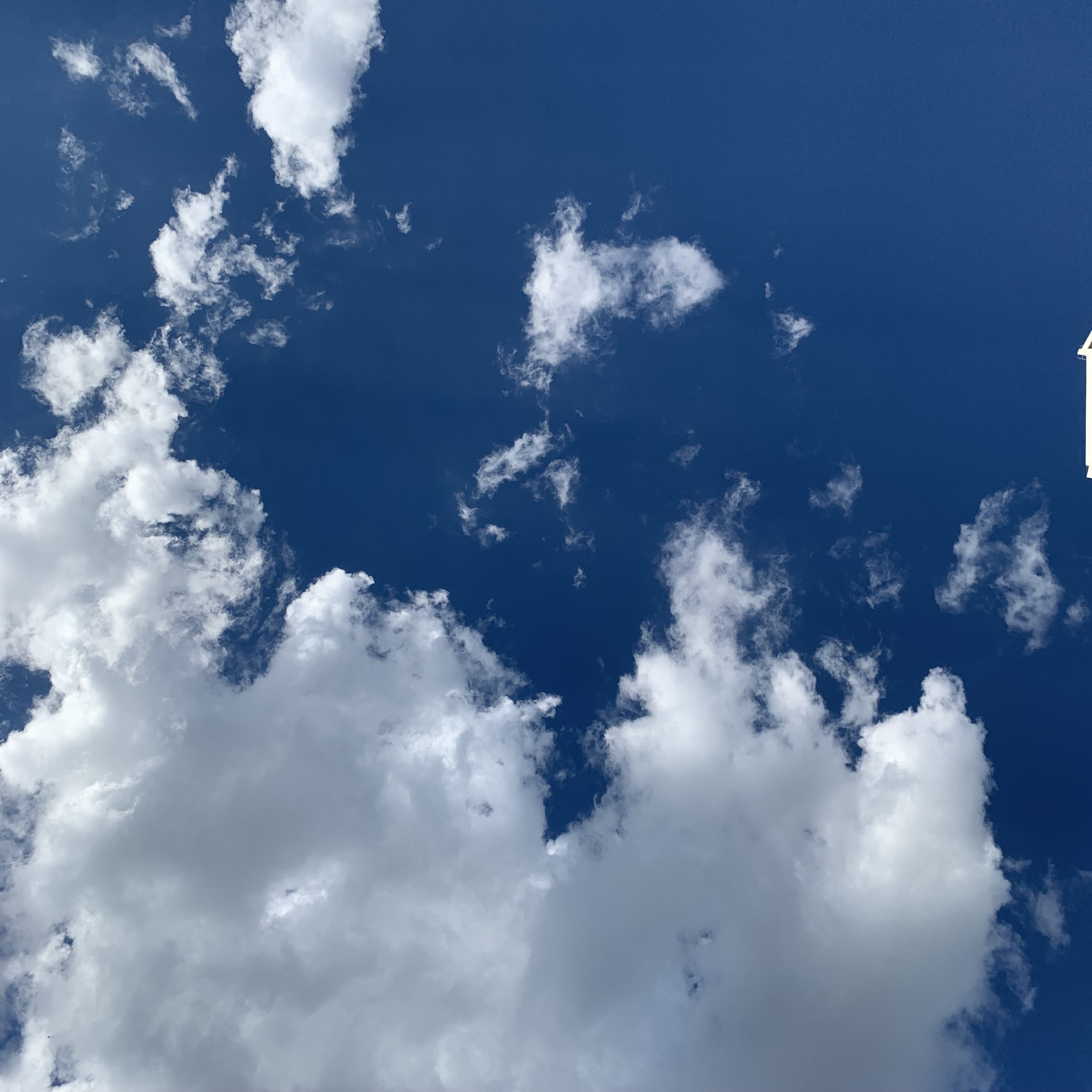 那天天气正好,阳光正好,家也正好