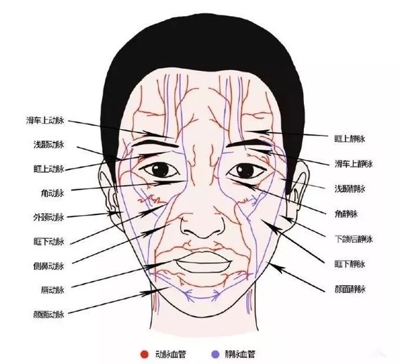 下巴