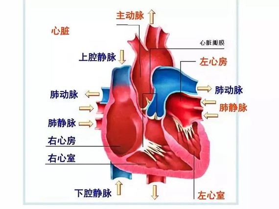 如果长期如此