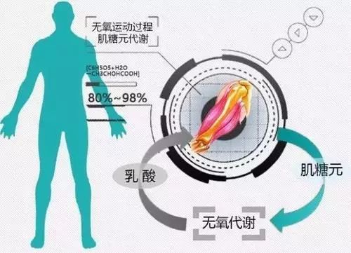 拉伸肌肉不仅可以防止乳酸堆积,还能加快血液循环,把存在于血液中乳酸