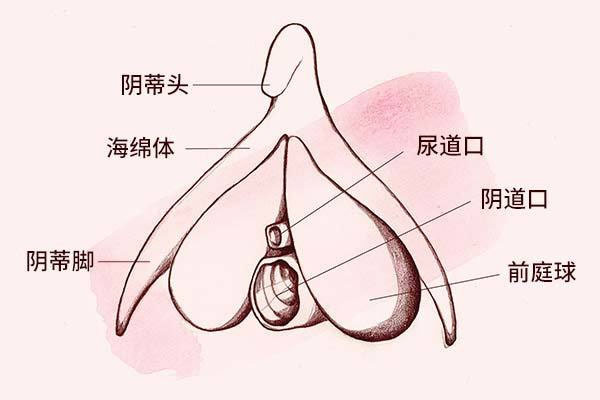 0606阴蒂78包皮过长