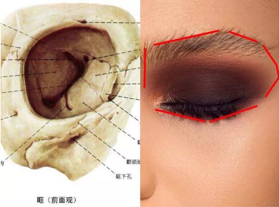 左:眼眶,右:还原在皮肤上的大概位置
