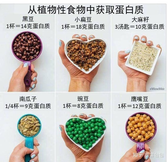 主食類建議:低gi主食,例如 糙米,意麵,蔬菜面,烤紅薯.