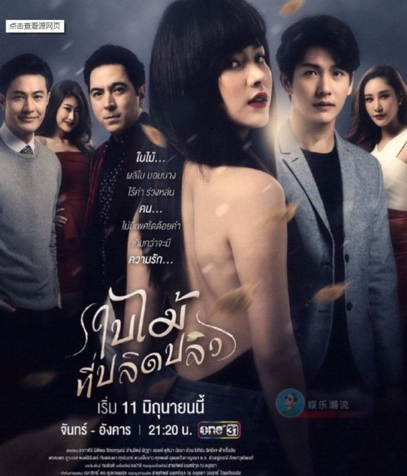 从当年火爆东南亚的《火之迷恋》,到刚结局的《吹落的树叶》