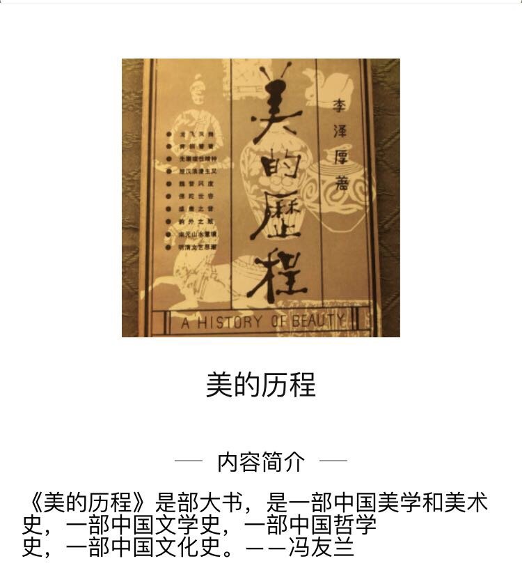 《美的歷程》 這本書太棒了939993999399 作者結合了