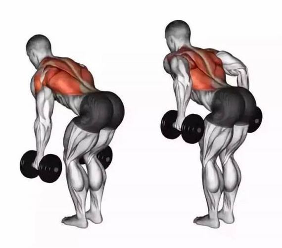 背肌训练动作 背部图片