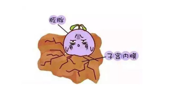 流产太多,子宫罢工.人流多了_圈子-新氧美容整形