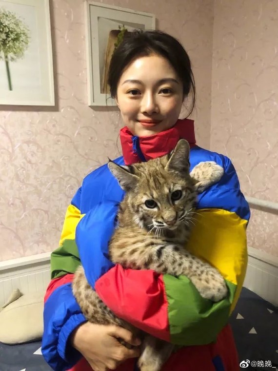 前不久晚晚和林瀚夫妇俩出席活动,晚晚c位美貌pk刘_圈子-新氧美容整形