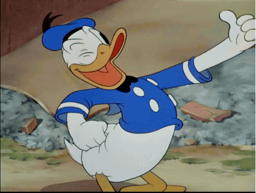 500_377gif 动态图 动图