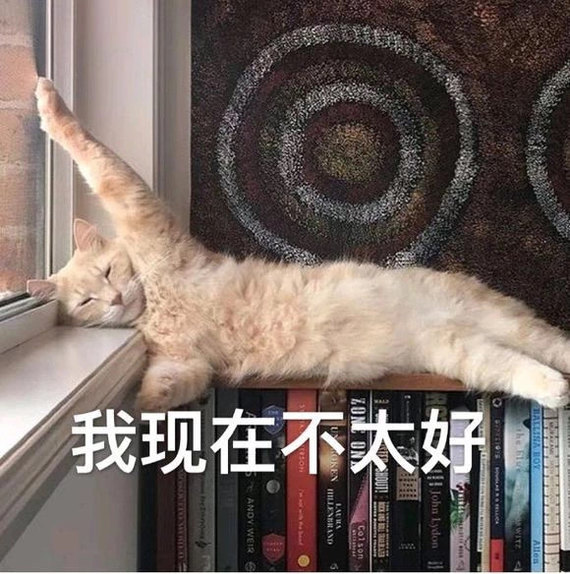 这个时候,好好活着吧