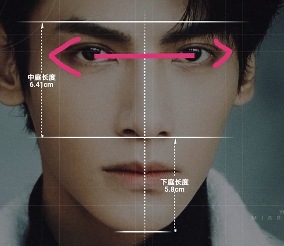 眼角尖,瞳距窄,看人时会有强烈的聚焦感,视觉上精明不好惹.