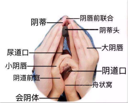 女性私密部位长小包怎么办