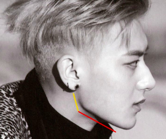 黄子韬的下颌角呈角度非常大的钝角,向180度靠拢.