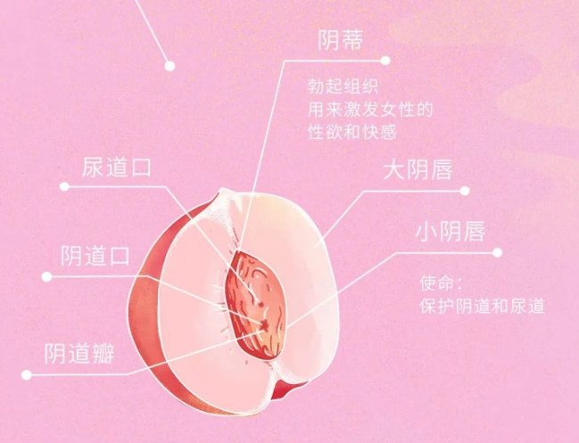 处女膜破裂后能够修复吗