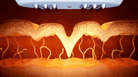 570_321gif 动态图 动图