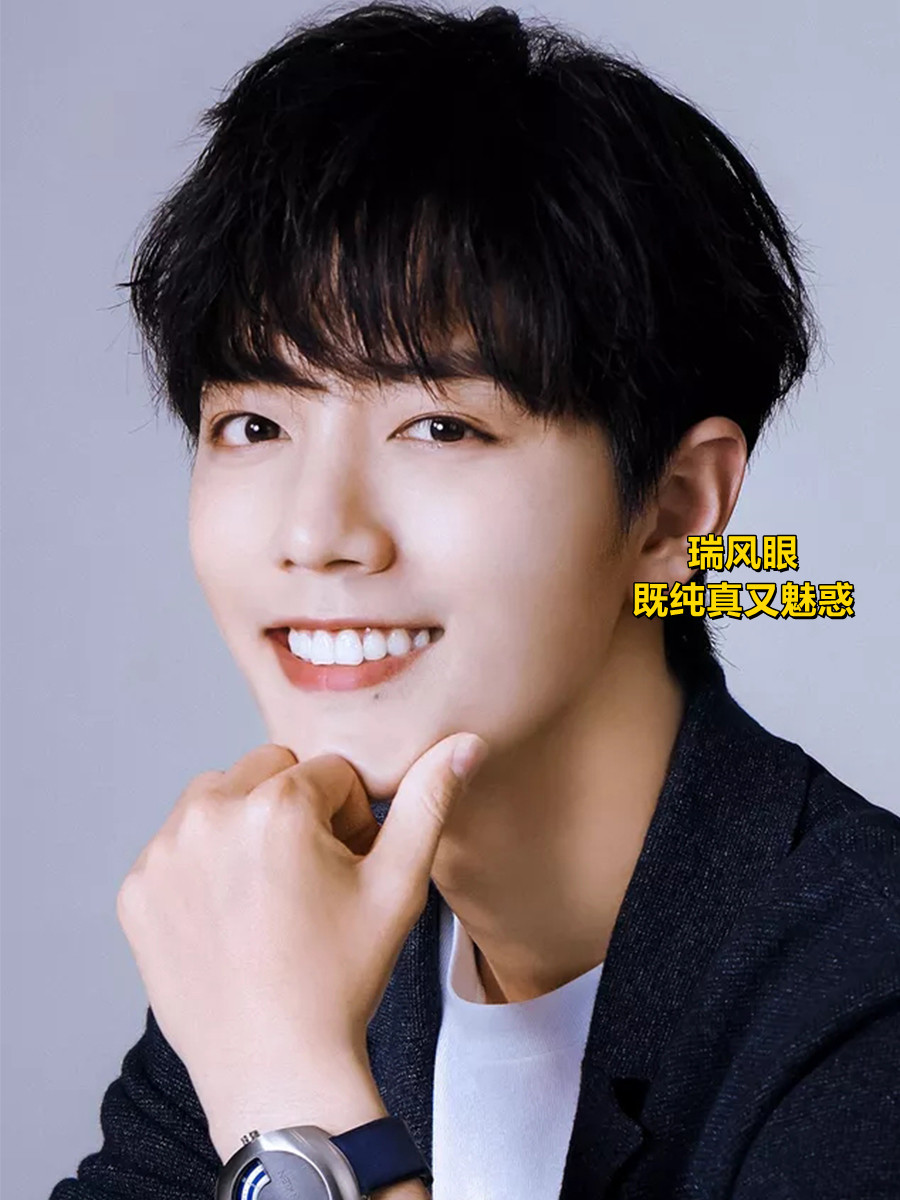 肖战,妥妥的中国式美男长相!