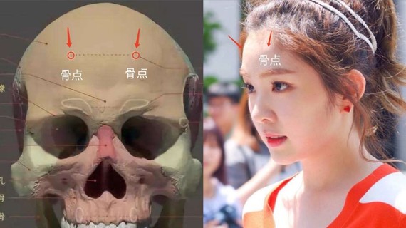 会在接近前额中心,头顶的位置,摸到两处制高点,即是额头骨点