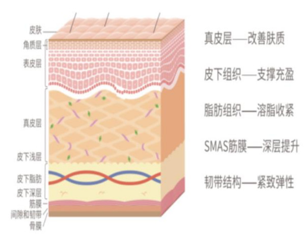 新信息 | 线雕的“秘密”：4万的线和2万的线区别并不大？