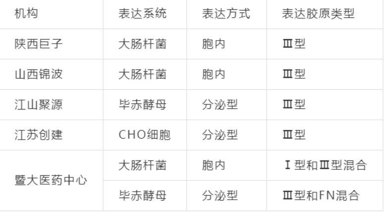 从巨子生物冲刺IPO，看胶原蛋白和医用敷料的发展趋势