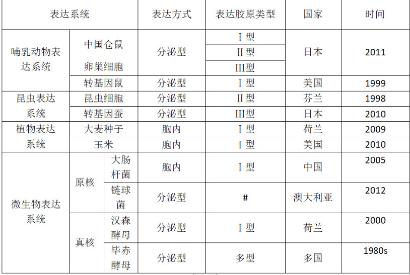 从巨子生物冲刺IPO，看胶原蛋白和医用敷料的发展趋势