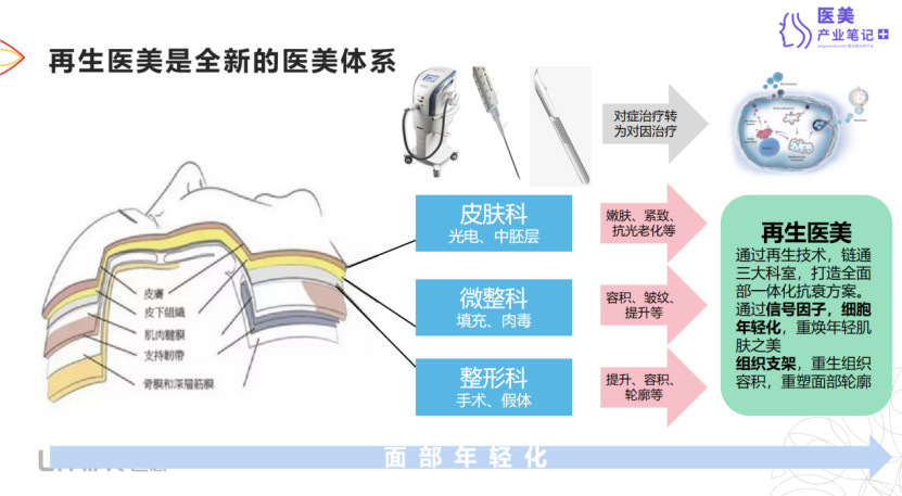 远想生物CMO 王璨：揭秘商业与医学中的再生医美